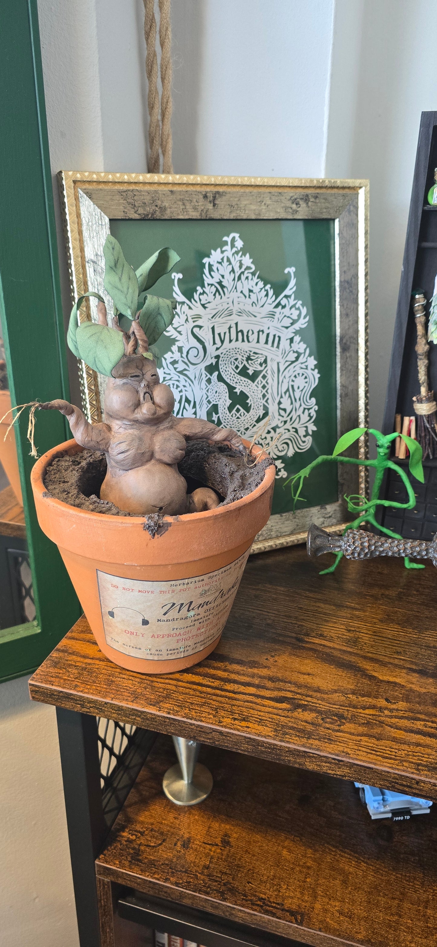 *RESERVED* Mandrake Terracotta Plant Pot