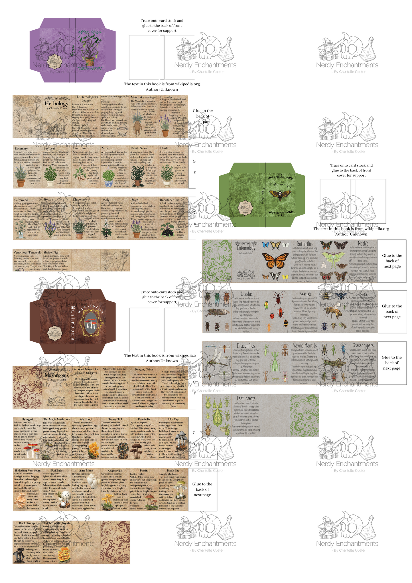 Miniature Green Witch Book Bundle of 3 | 1:6 Scale Dollhouse Herbology & Foraging, PDF Download