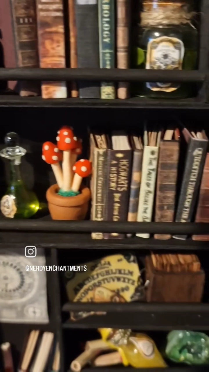 Apothecary