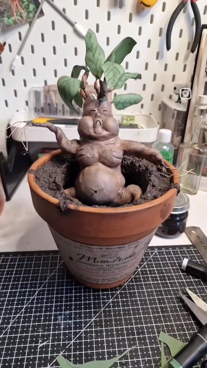 Mandrake Terracotta Plant Pot