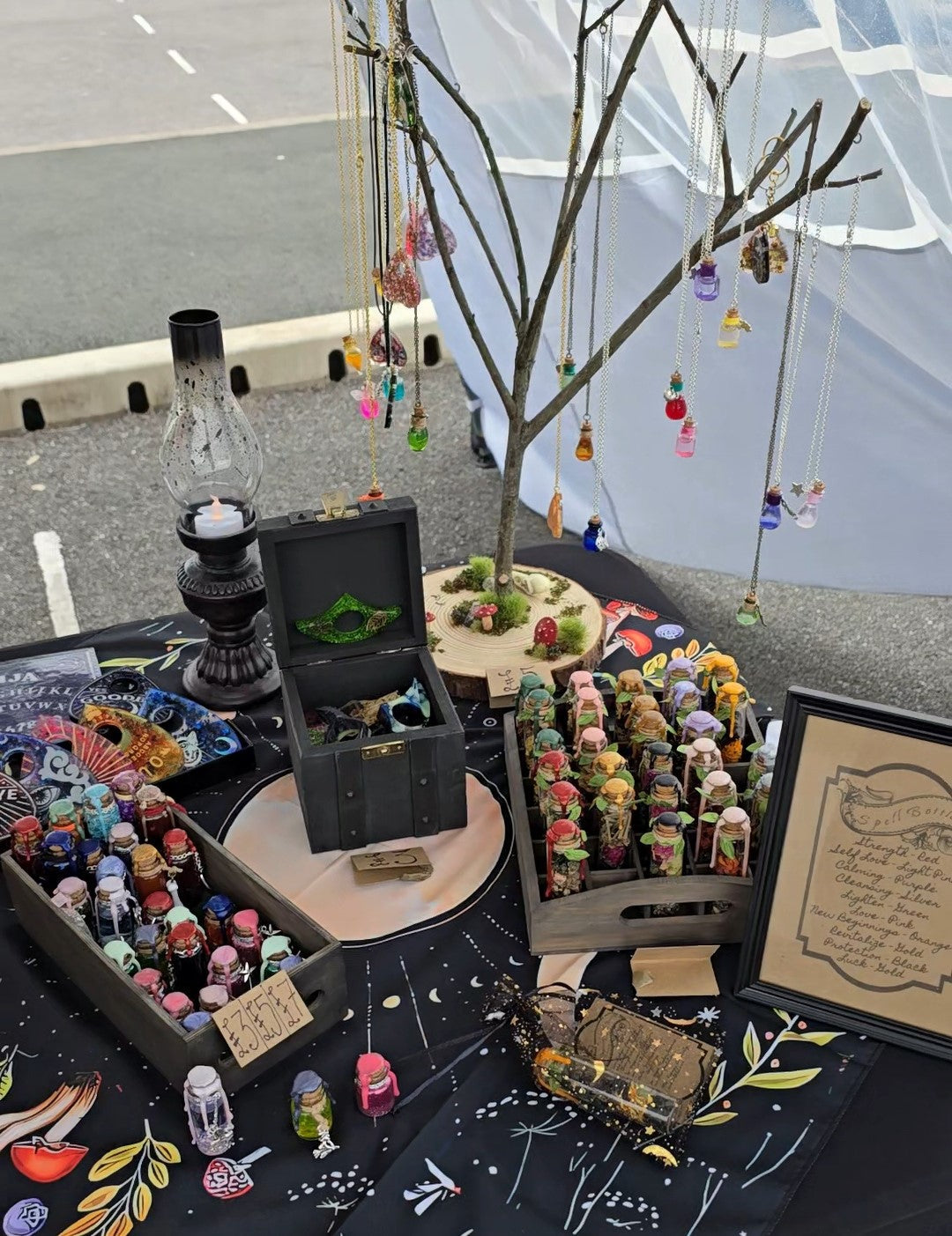 Small Wonders & Curios