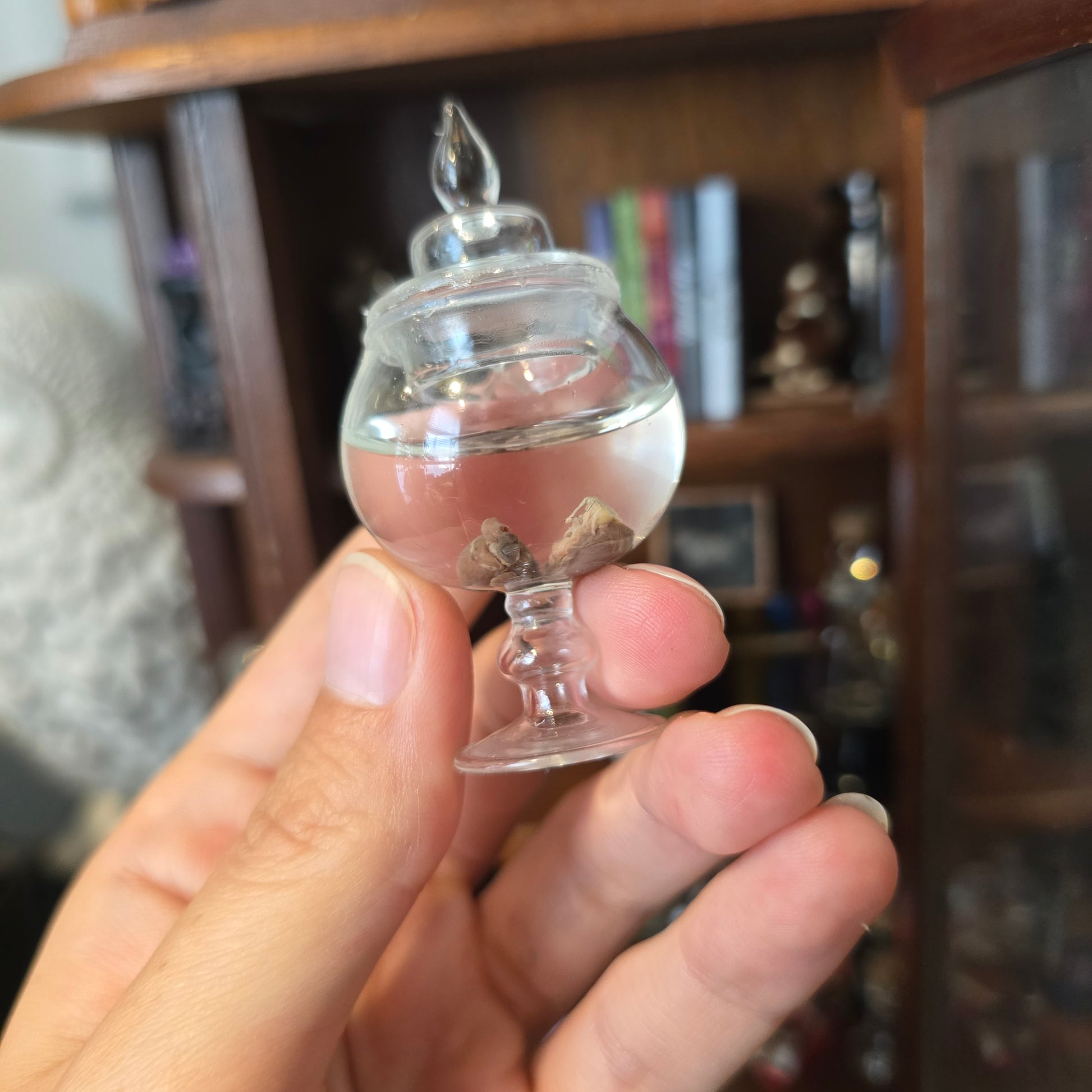 miniature real wet specimen, 2 mole hearts