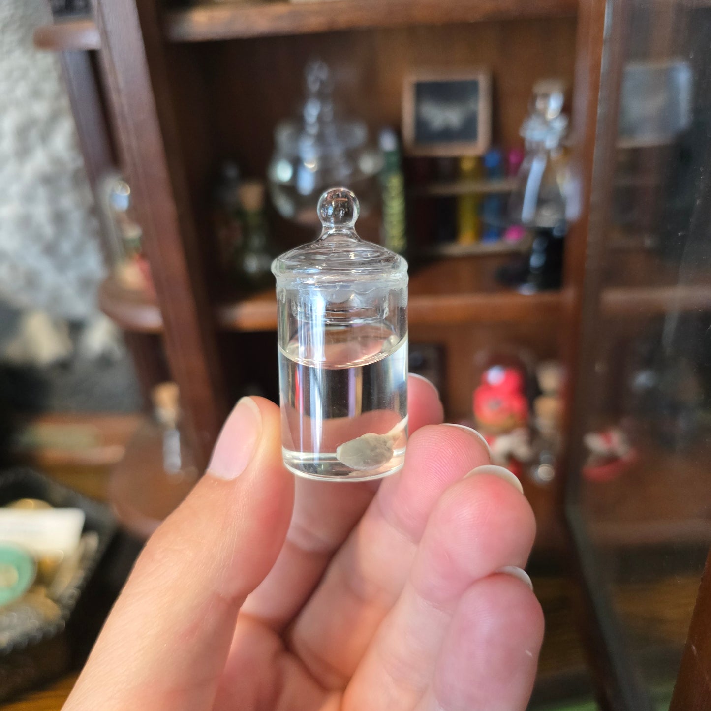 A hand holding a small clear glass vial with a stopper, containing a pale liquid and a hamster heart, with a blurred wooden cabinet in the background.