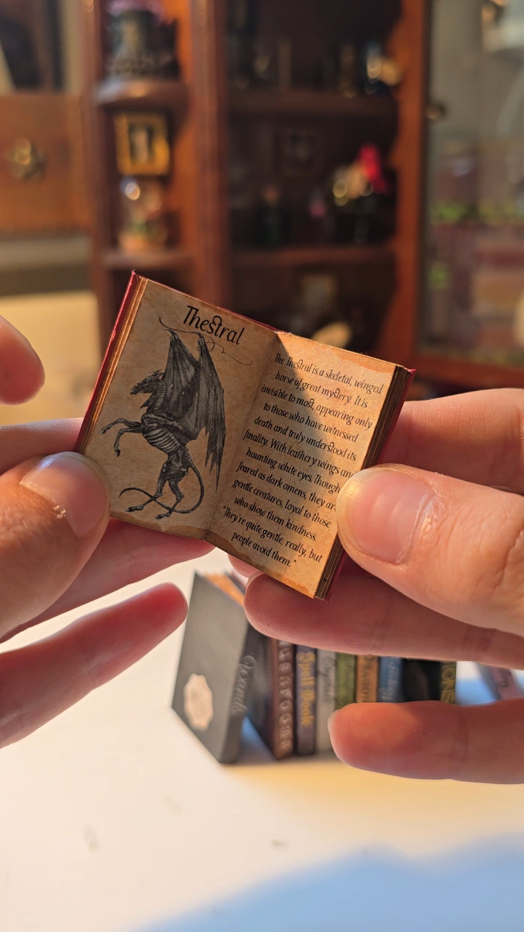 Miniature Wizard Starter Book Bundle of 4 | 1:6 Scale Dollhouse Textbooks, PDF Download