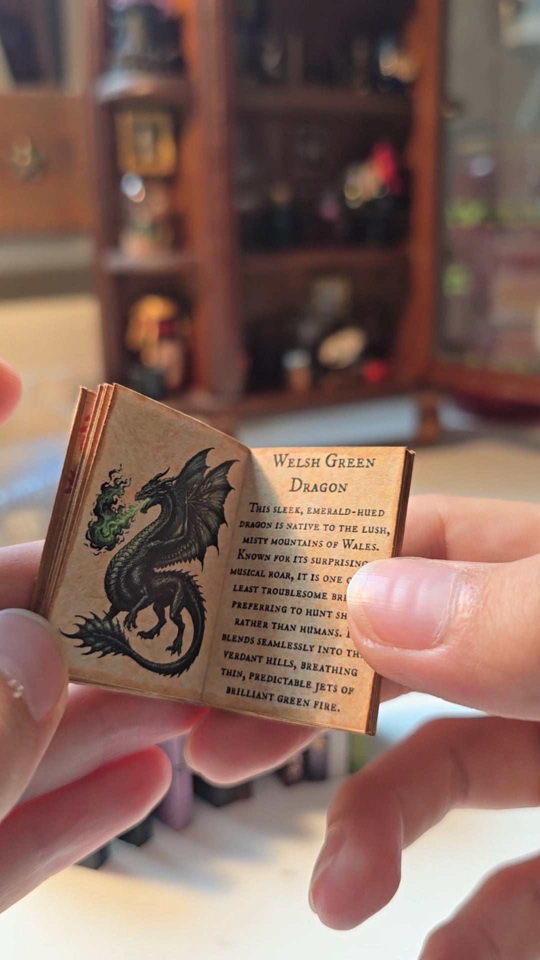Miniature Celestial Wizard Books Bundle of 3 | 1:6 Scale Dollhouse Astrology & Crystals, PDF Download