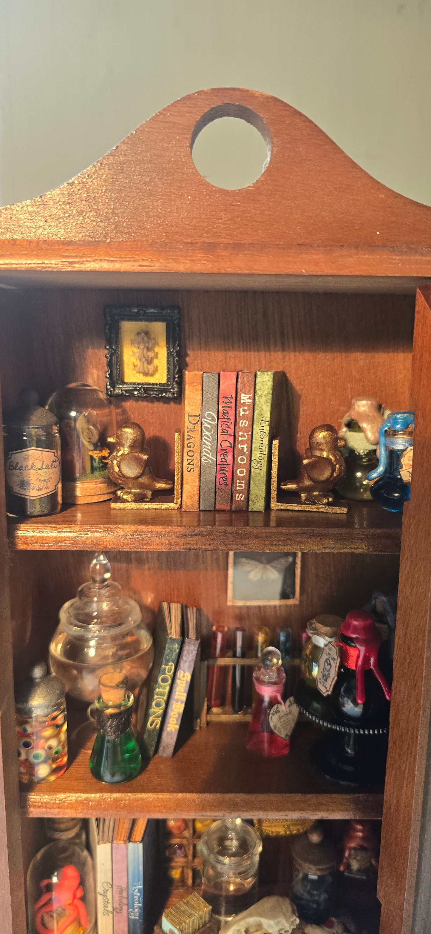 A close-up of a wooden display cabinet or shelf filled with small decorative items, including books, potion bottles, witchy supplies, and glass vials with wet specimens