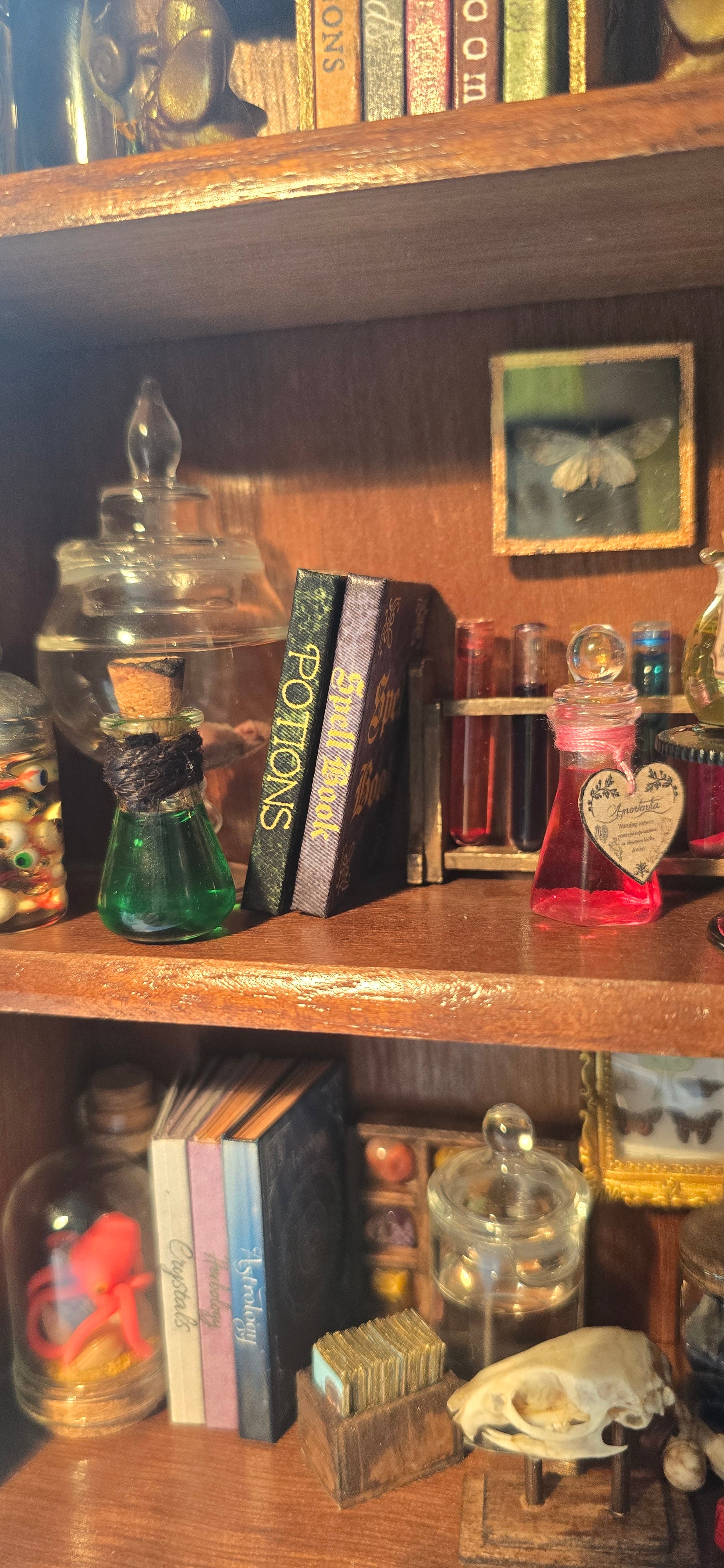 A close-up of a wooden shelf filled with small decorative items, including a green potion bottle, a stack of books labeled 'Spell Book' and 'Potions', glass jars, and framed moth.