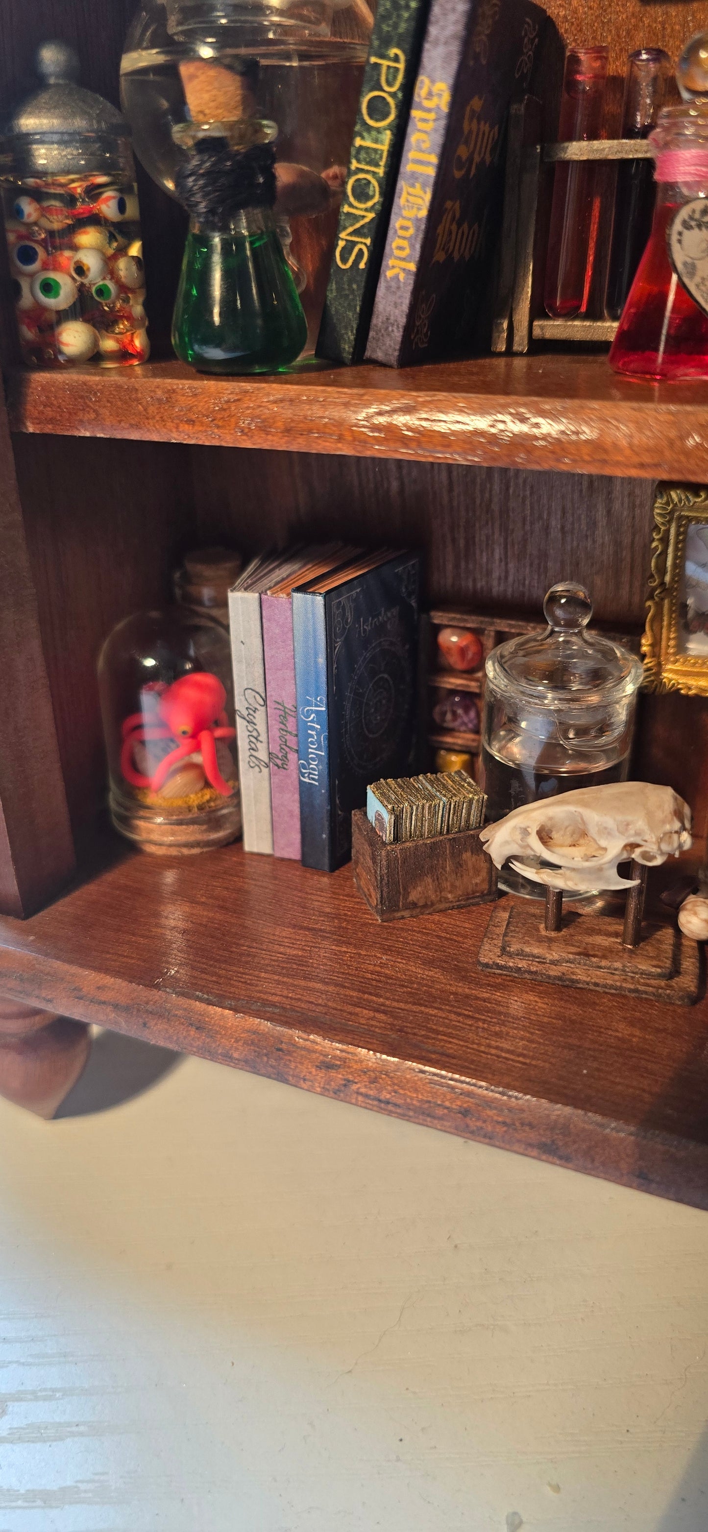 A close-up, angled view of a wooden shelf or cabinet containing various decorative and occult-themed items, including a green glass potion bottle, a book titled 'Potions', a small jar with a skull lid, and other assorted objects.