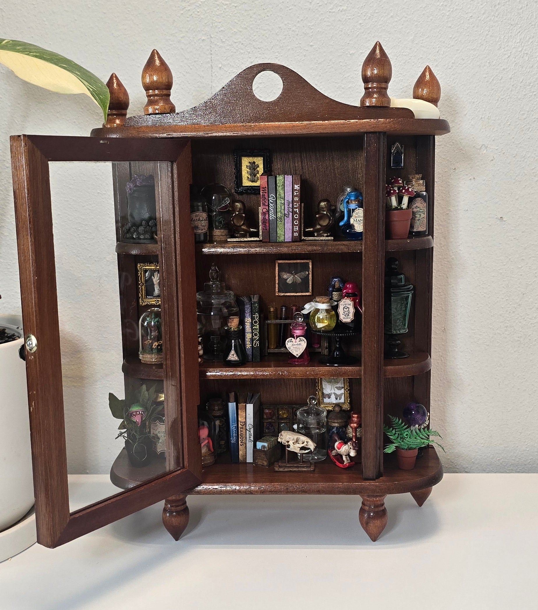 Front view of handcrafted miniature wooden curio cabinet filled with oddities, potion bottles, and skull specimens