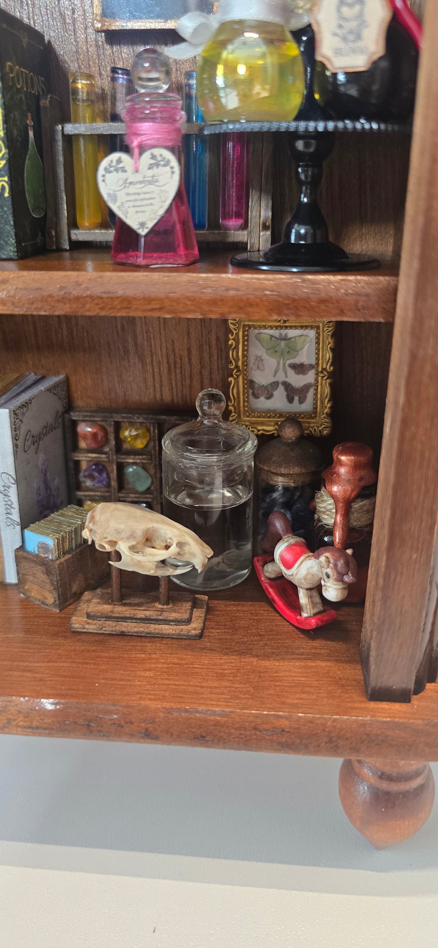 Miniature mouse skull specimen display on wooden stand inside curio cabinet