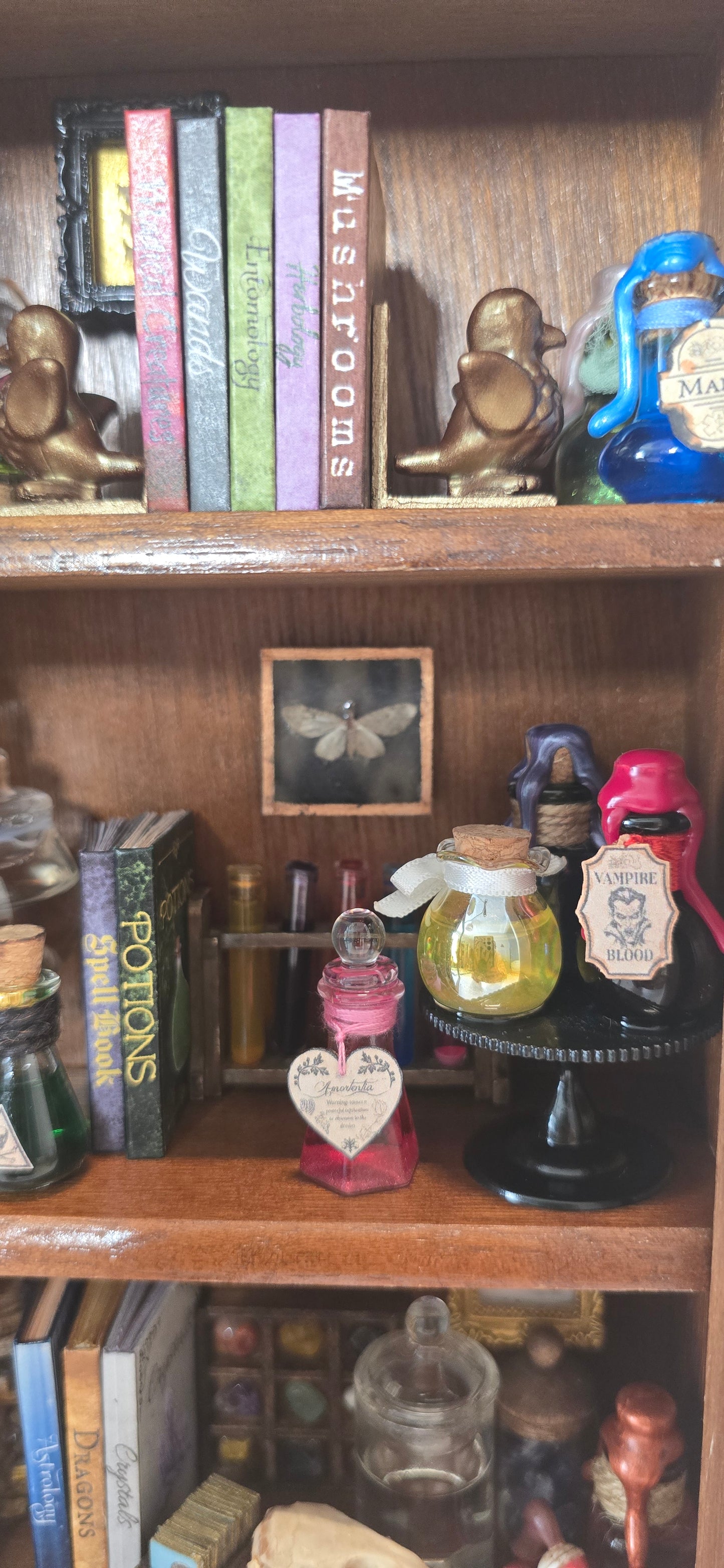 A wooden shelf filled with assorted decorative items, including books labeled 'Mushrooms' and 'Potions', small figurines, glass containers, and other collectibles.
