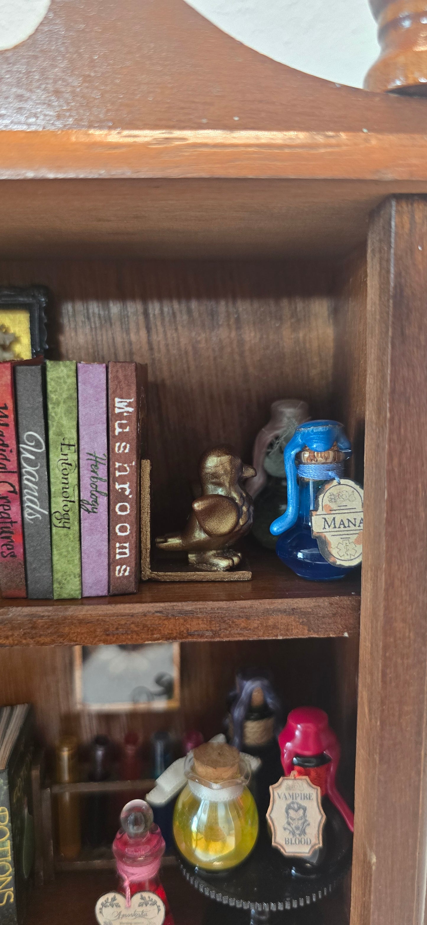 Miniature Apothecary & Cabinet of Curiosities | Real Mouse Skull, Crystals, & Hand-Drawn Books
