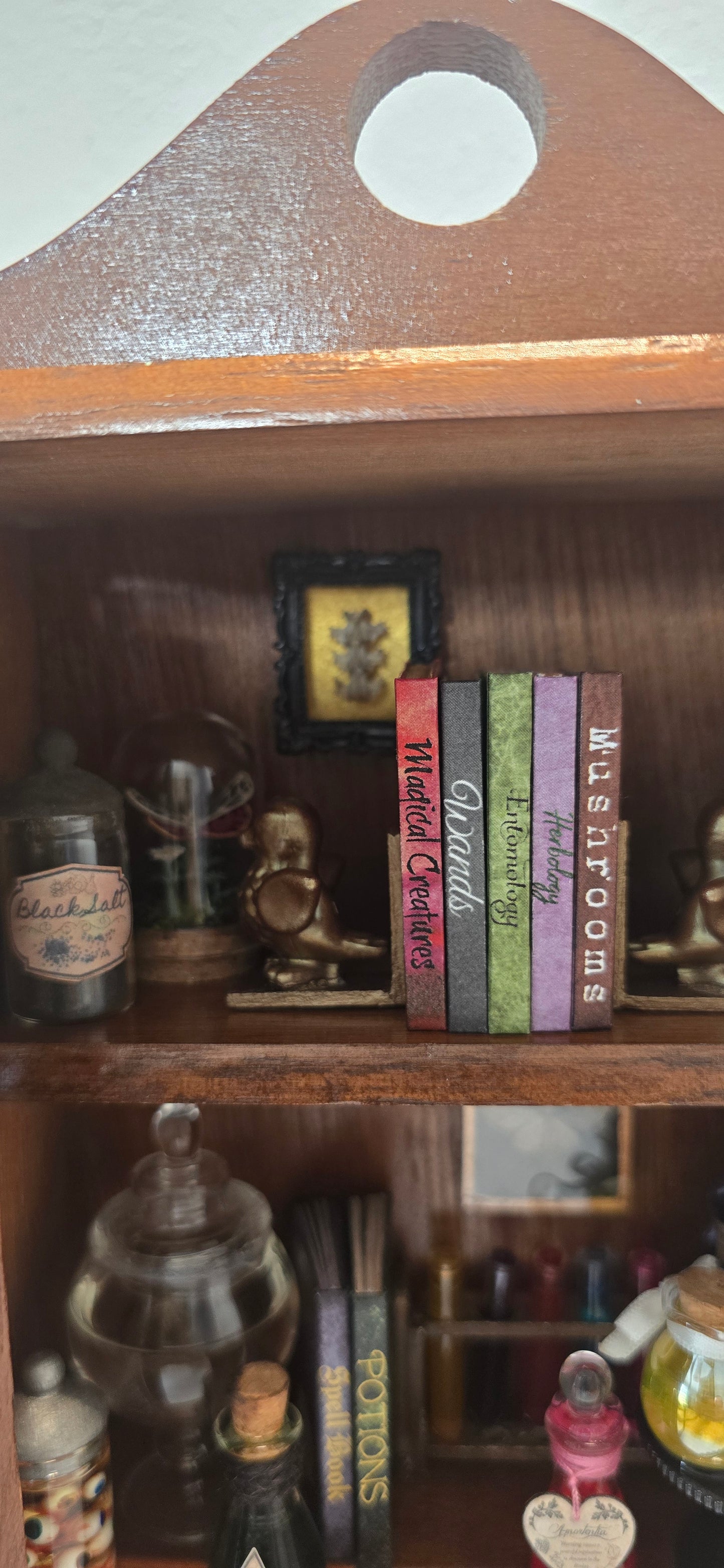 Miniature Apothecary & Cabinet of Curiosities | Real Mouse Skull, Crystals, & Hand-Drawn Books
