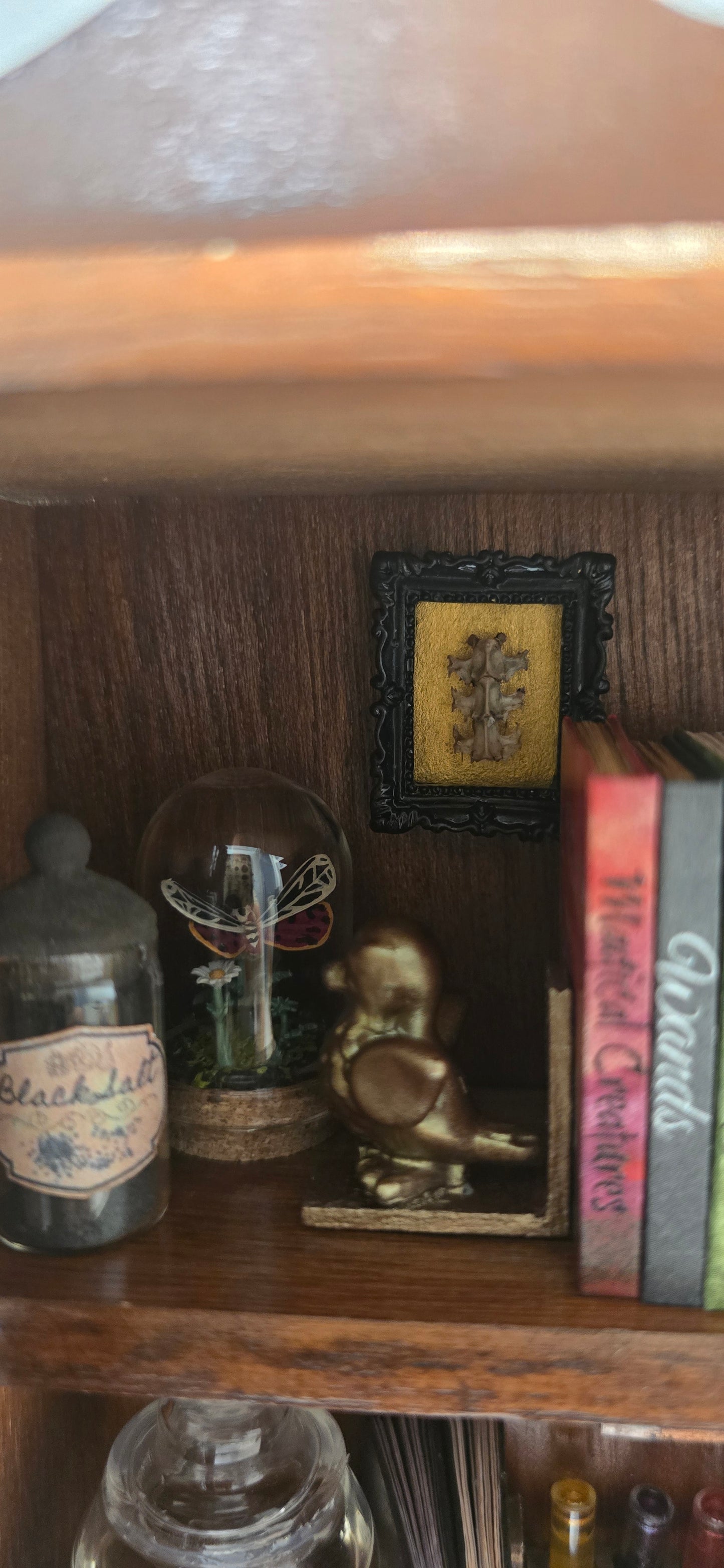 Miniature Apothecary & Cabinet of Curiosities | Real Mouse Skull, Crystals, & Hand-Drawn Books