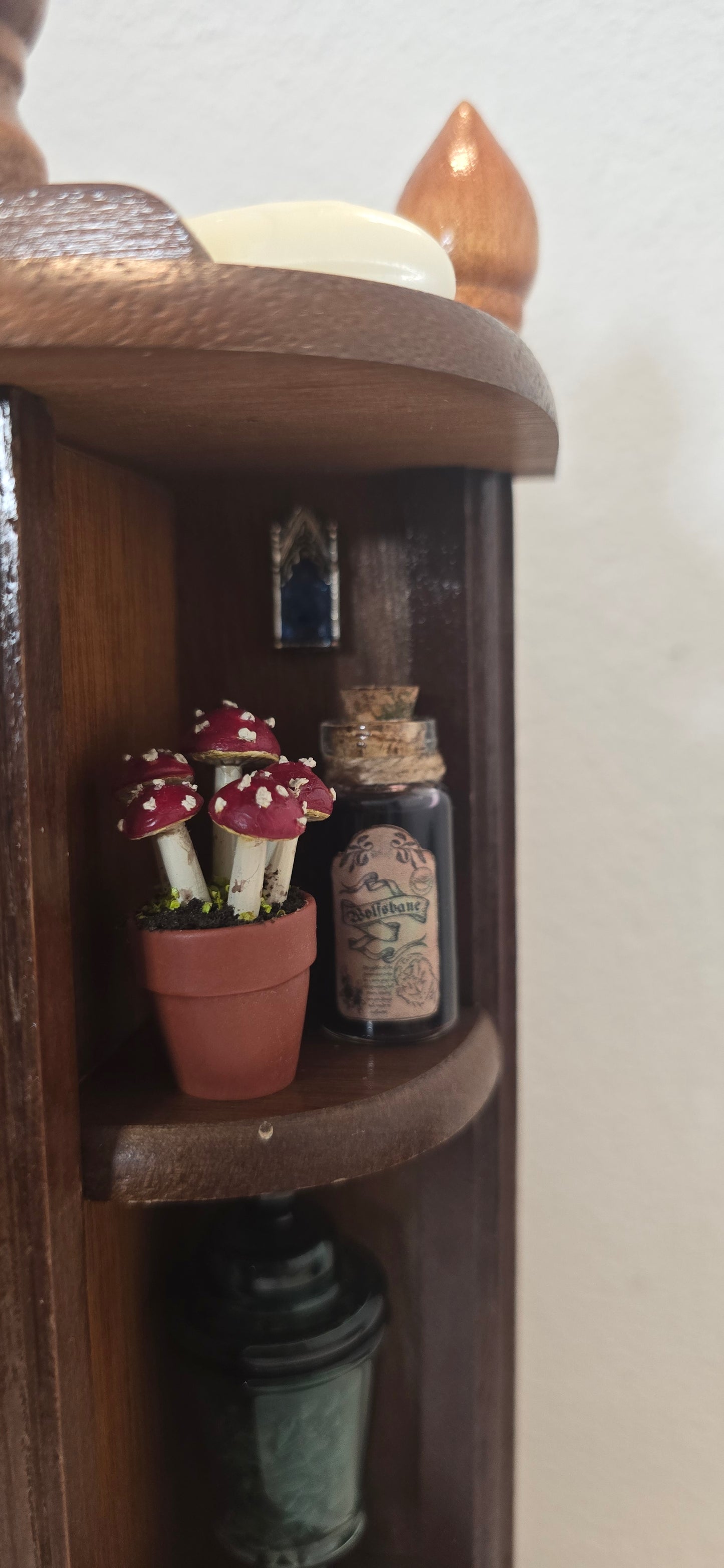 Miniature Apothecary & Cabinet of Curiosities | Real Mouse Skull, Crystals, & Hand-Drawn Books