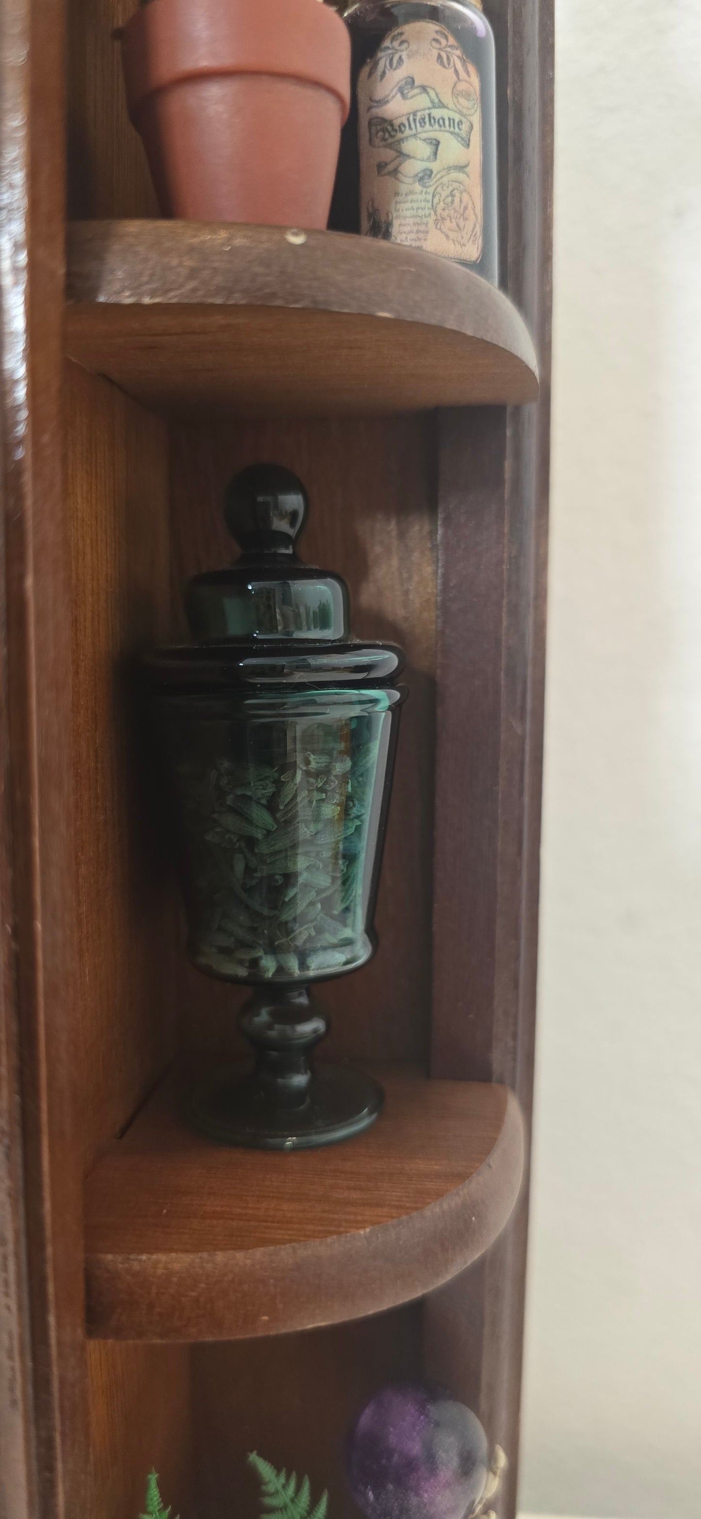 Miniature Apothecary & Cabinet of Curiosities | Real Mouse Skull, Crystals, & Hand-Drawn Books