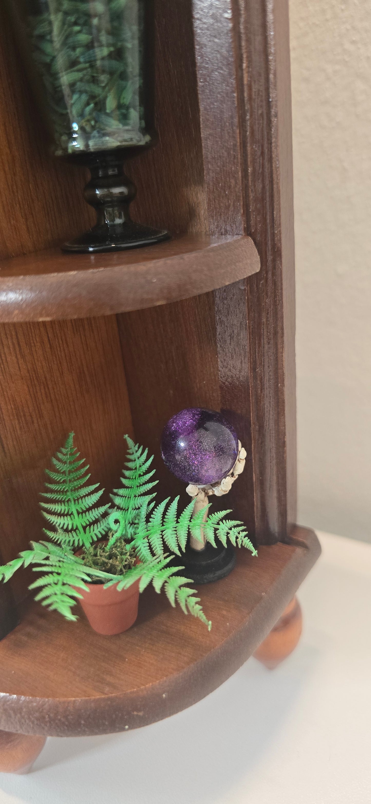Miniature Apothecary & Cabinet of Curiosities | Real Mouse Skull, Crystals, & Hand-Drawn Books