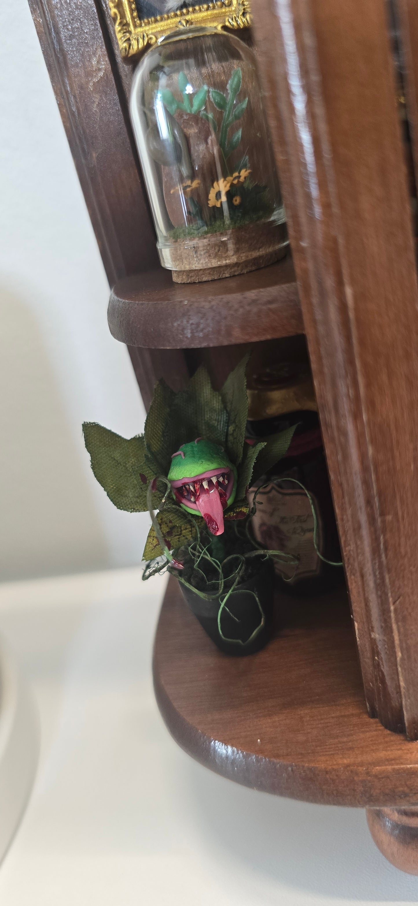 Miniature Apothecary & Cabinet of Curiosities | Real Mouse Skull, Crystals, & Hand-Drawn Books