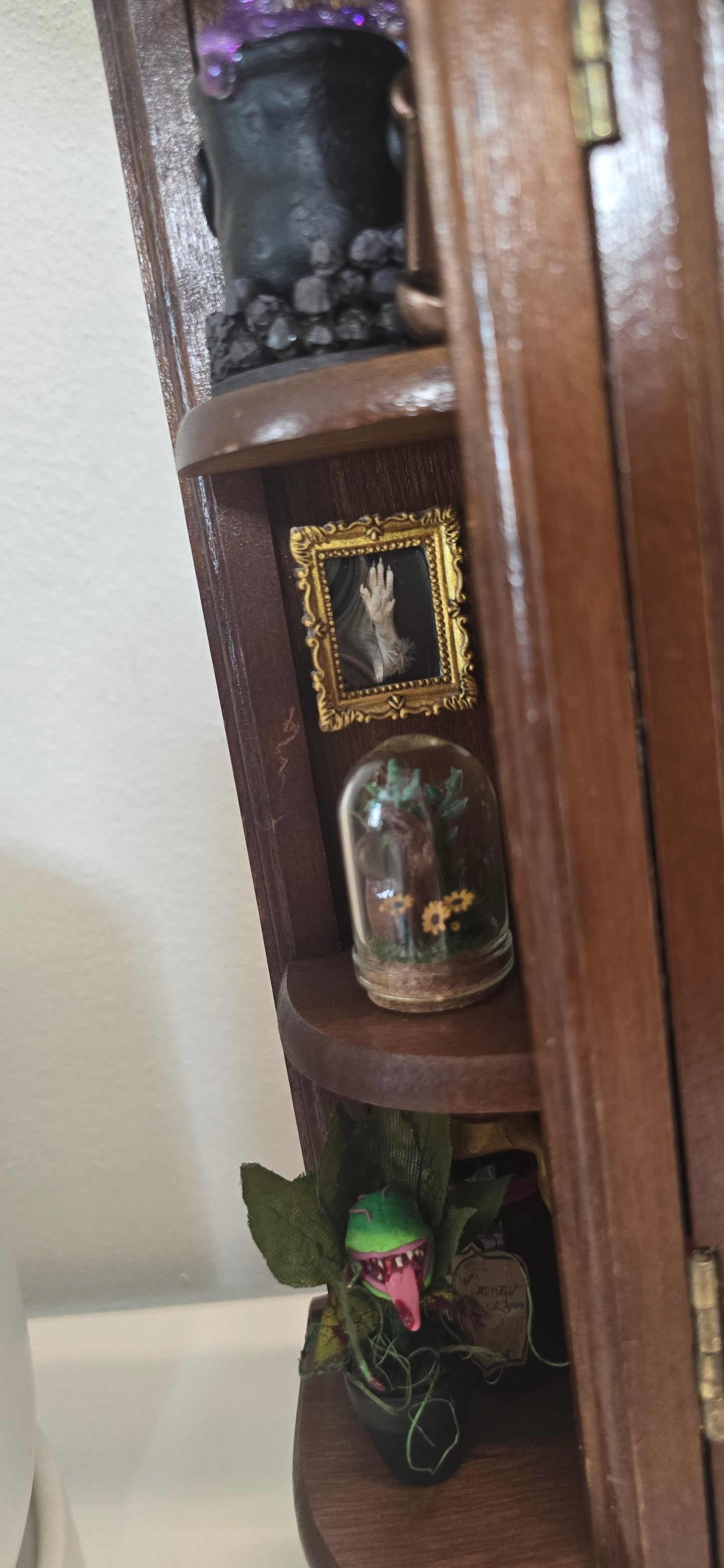 Miniature Apothecary & Cabinet of Curiosities | Real Mouse Skull, Crystals, & Hand-Drawn Books