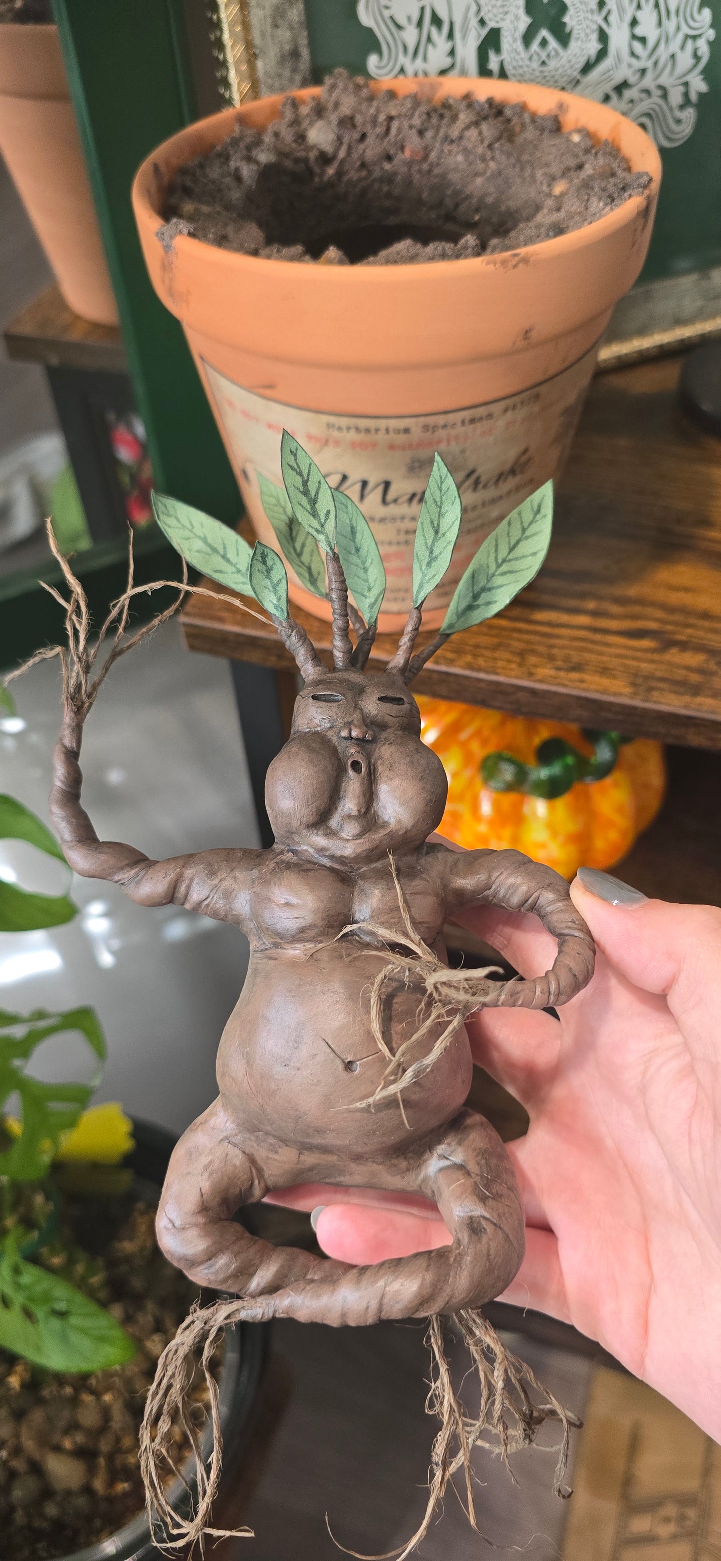 *RESERVED* Mandrake Terracotta Plant Pot