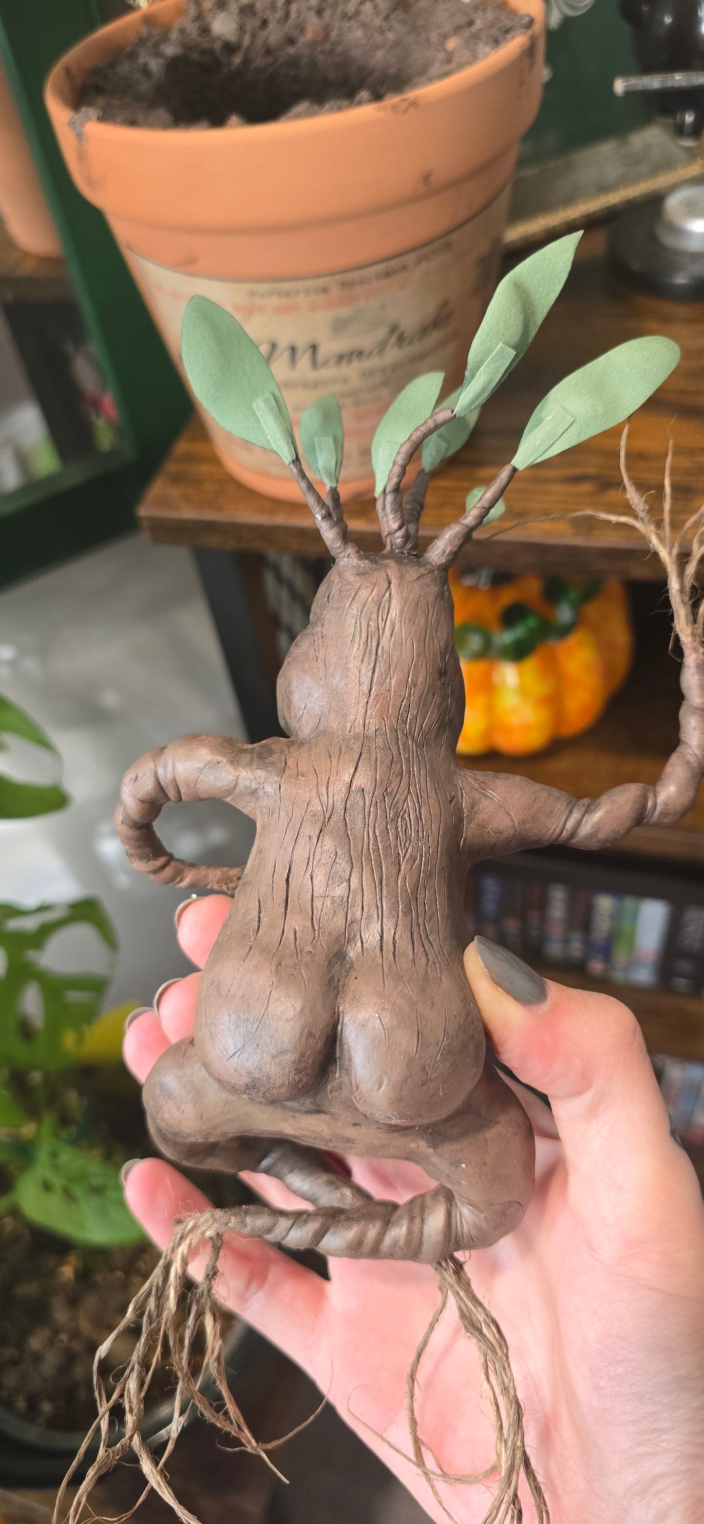 *RESERVED* Mandrake Terracotta Plant Pot
