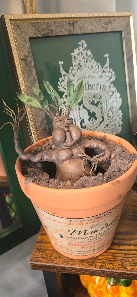 Mandrake Terracotta Plant Pot