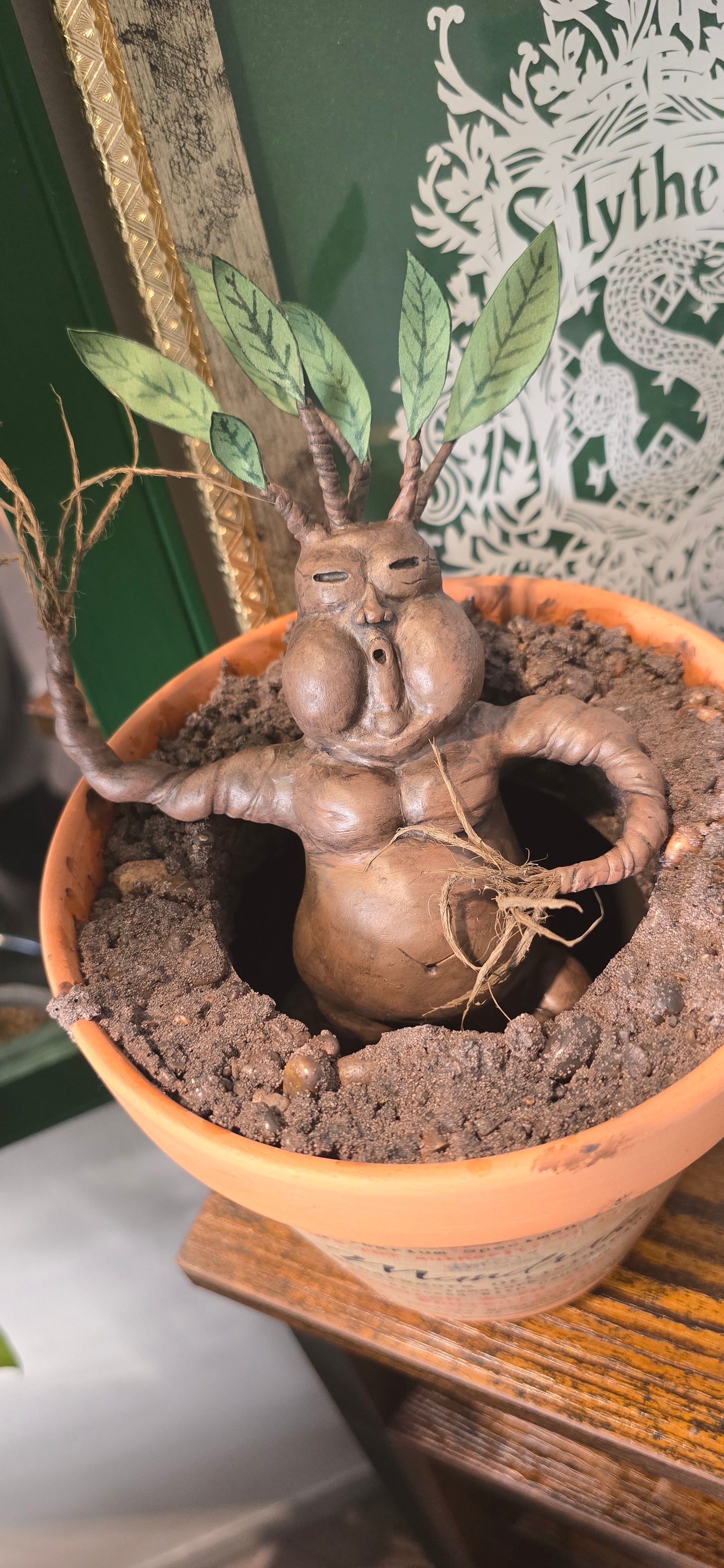 *RESERVED* Mandrake Terracotta Plant Pot
